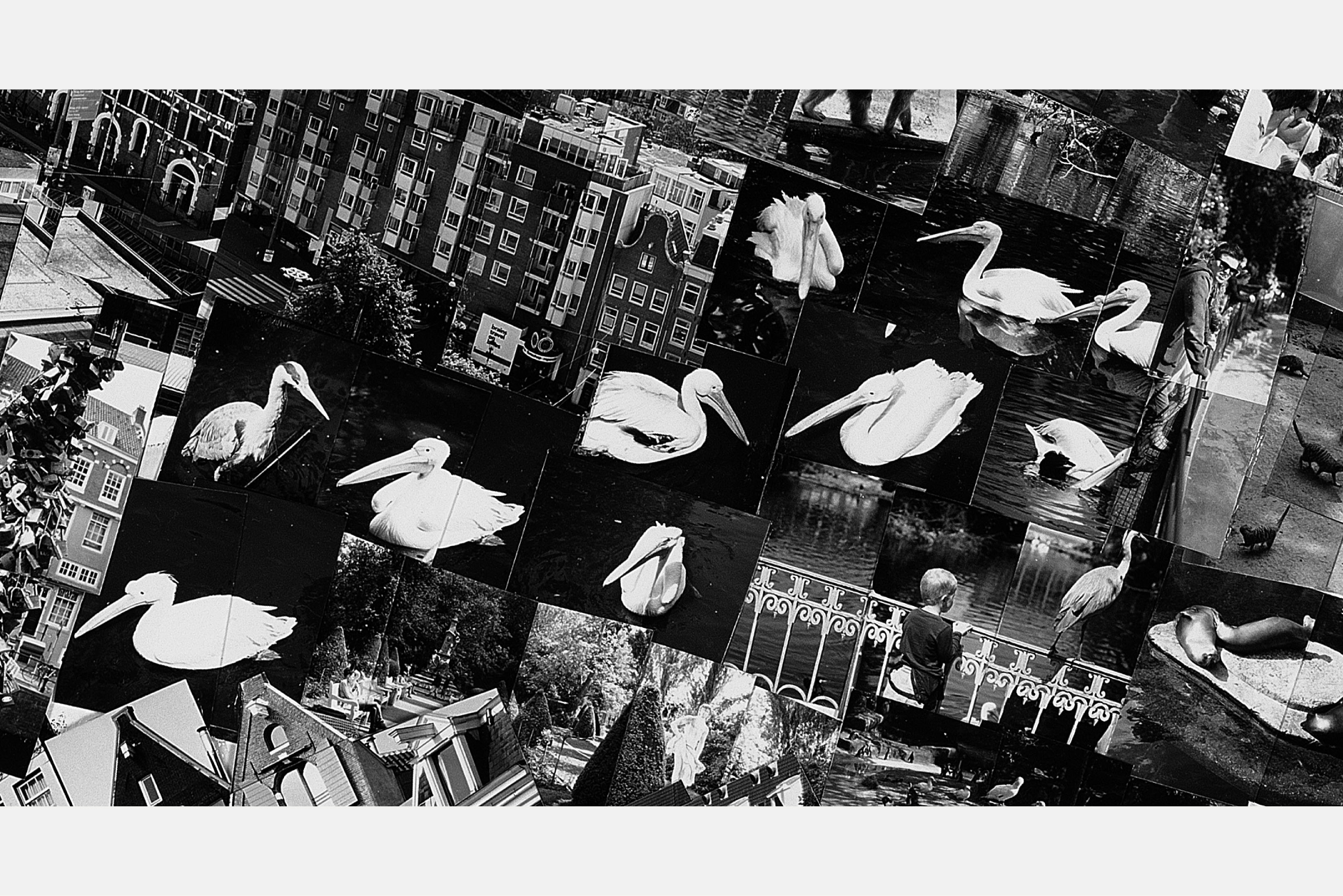 Sohei Nishino Photo Book SHORT STORIES: Amsterdam